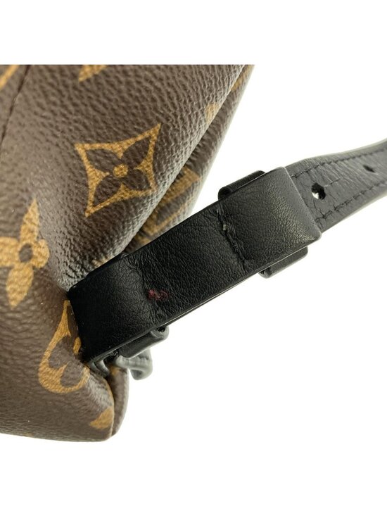 Louis Vuitton Monogram Palm Springs Backpack PM